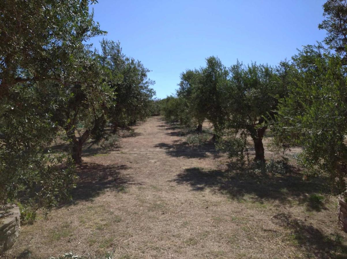 Aggeliki House 3 *